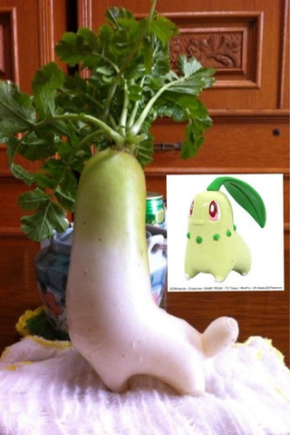 Illustration for article titled Japan's "Totally Looks Like" Meme Is Totally Amusing
